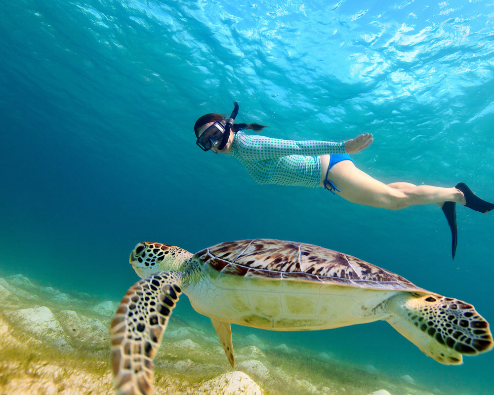 girl and turtle under water