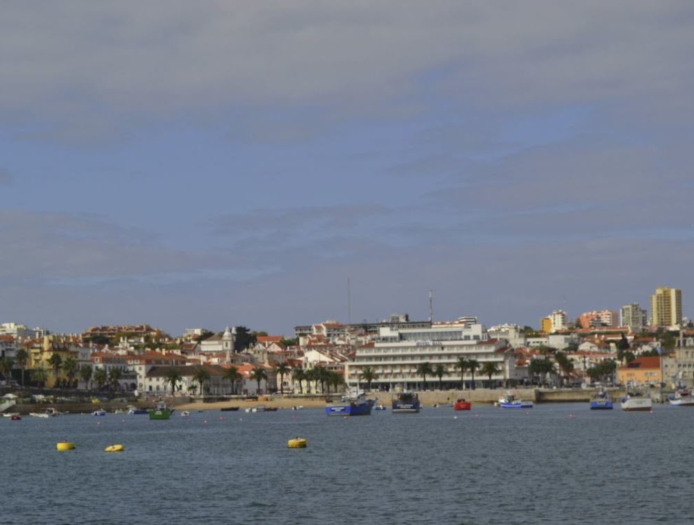 buildings,water,view