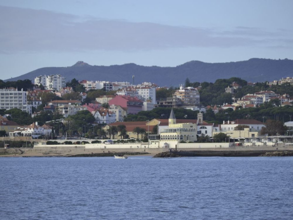 buildings,water,view