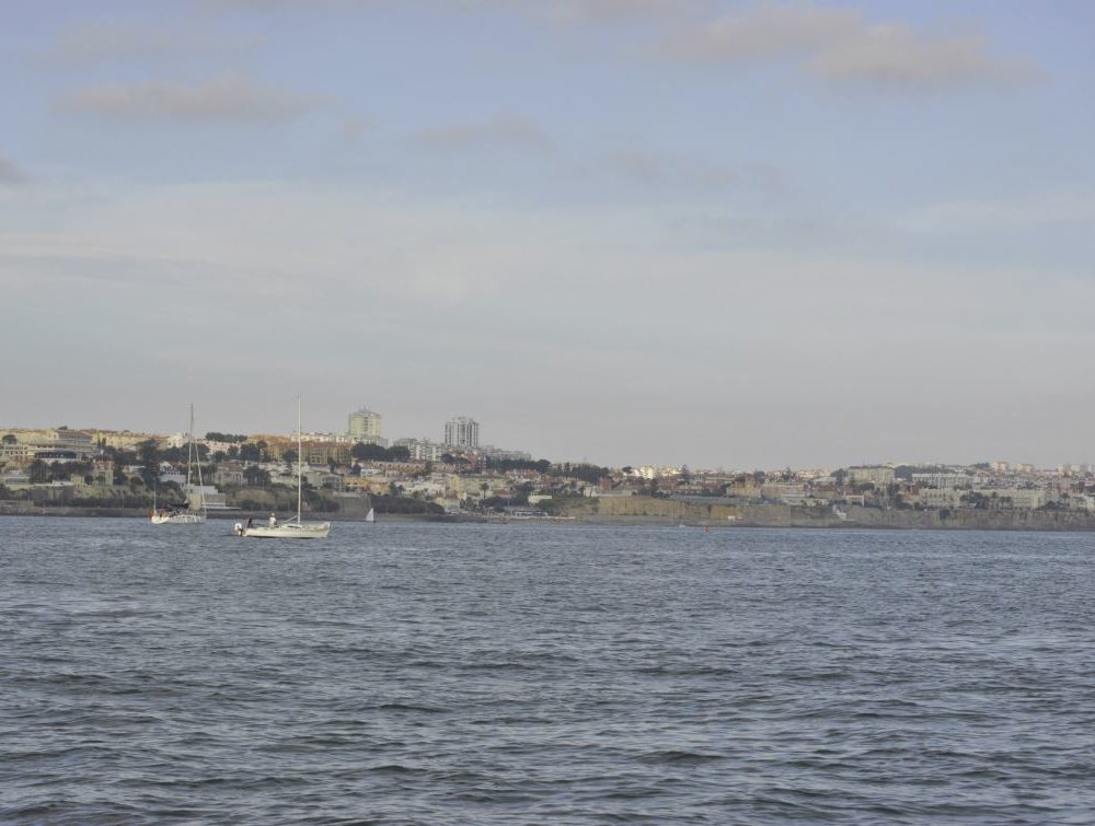 buildings,water,view