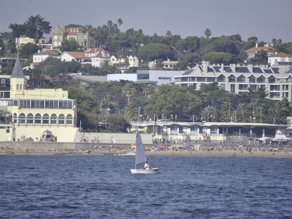 buildings,water,view