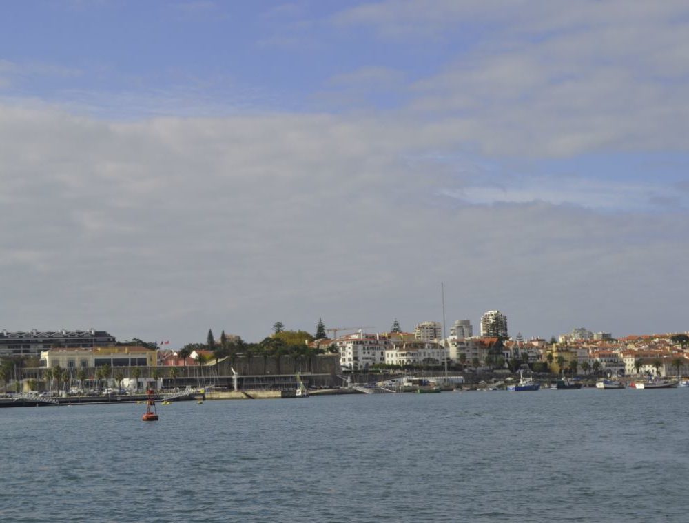 buildings,water,view