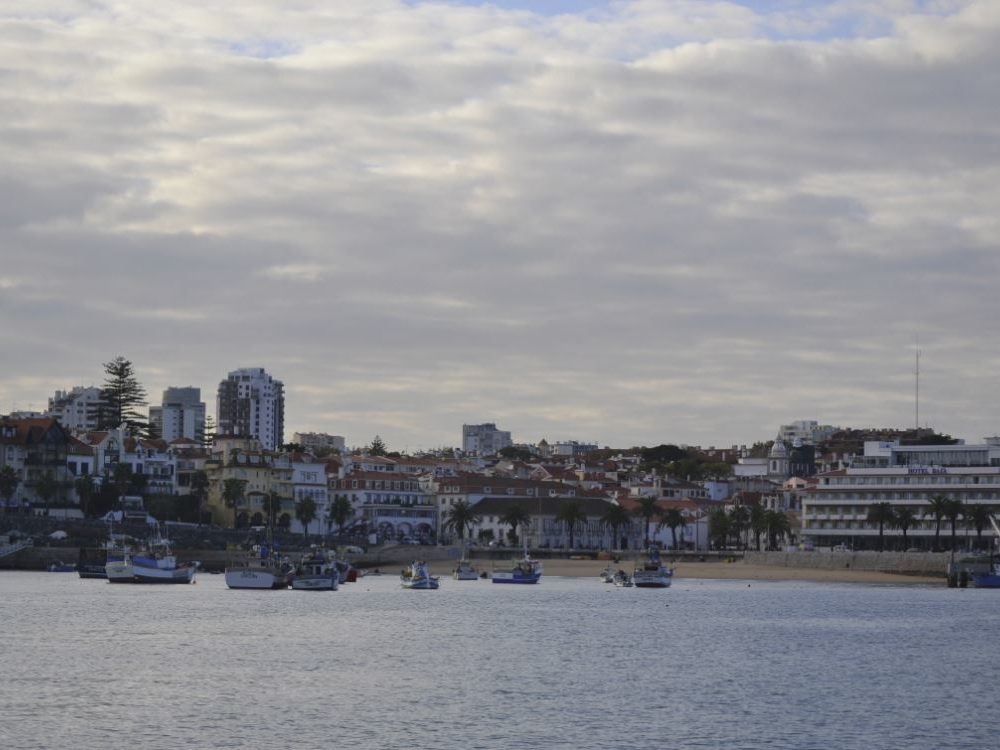 buildings,water,view