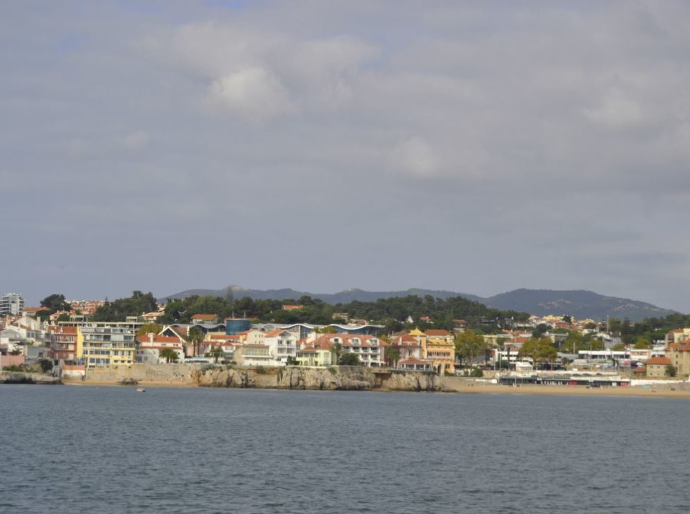 buildings,water,view