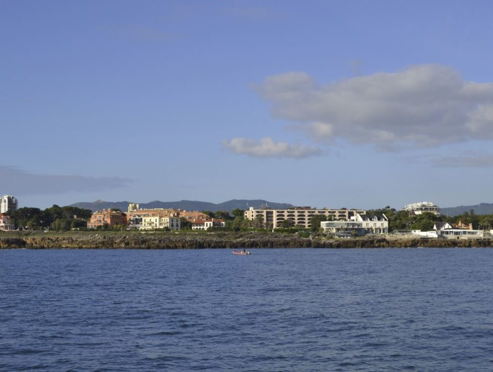 buildings,water,view