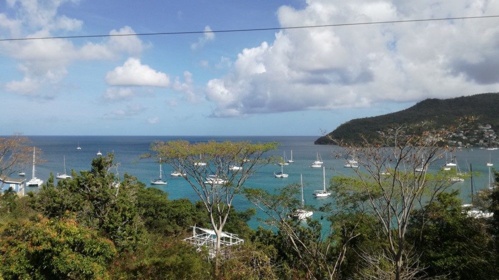 island view,many yachts